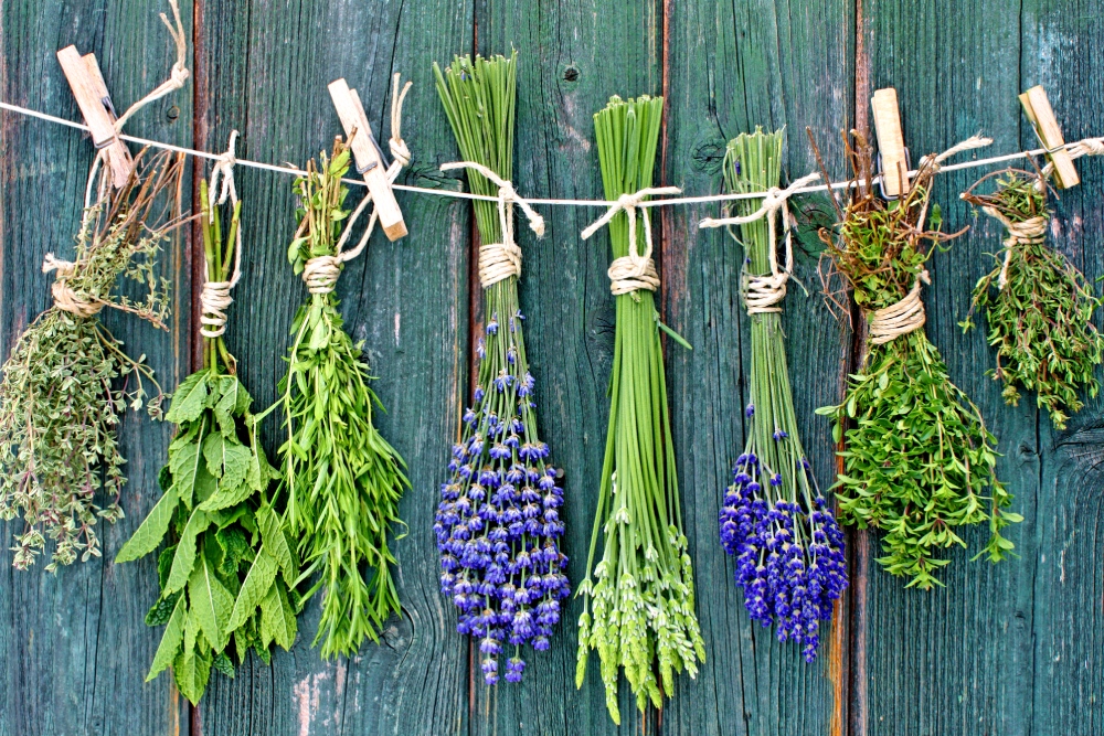jak užívat lněné semínko bylinky na menopauzu
